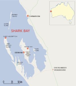 Shark Bay WA